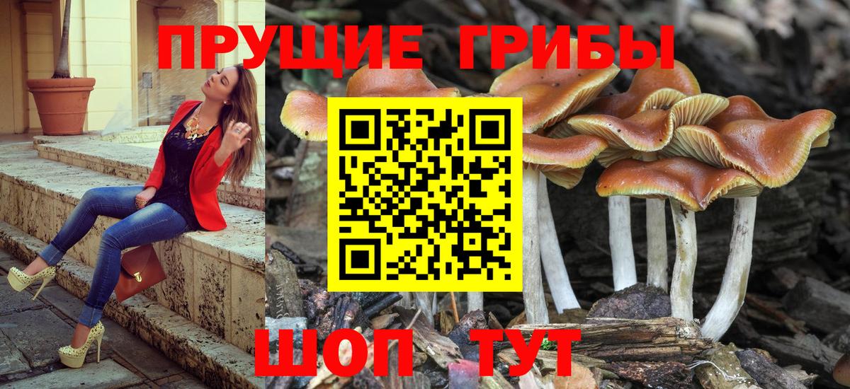 Галлюциногенные грибы мухоморы Домодедово