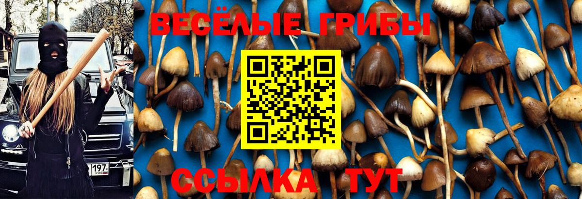 Псилоцибиновые грибы GOLDEN TEACHER  Вход с VPN  Домодедово 